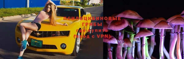 гидропоника Арсеньев
