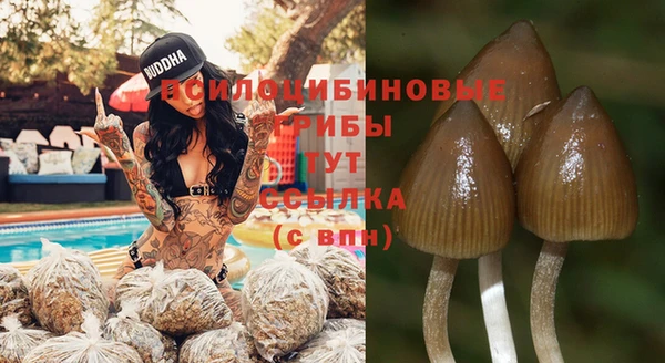 гидропоника Арсеньев