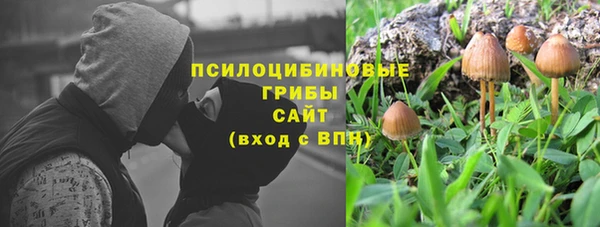 марки nbome Аркадак