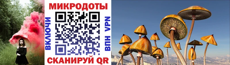 сколько стоит  Остров  Псилоцибиновые грибы прущие грибы 